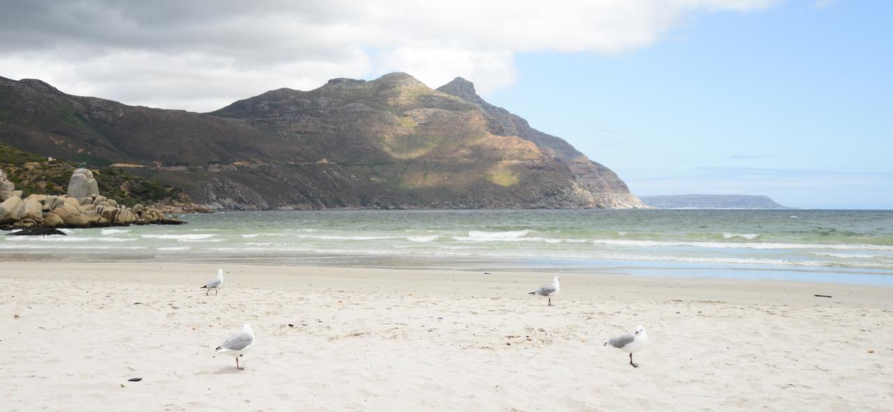 Dk Villas 1 Harbour View Hout Bay Exterior photo